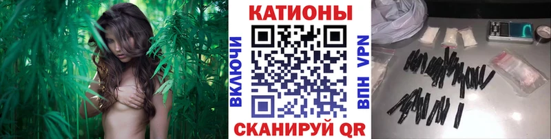 мега сайт  Красноармейск  МЯУ-МЯУ мука 