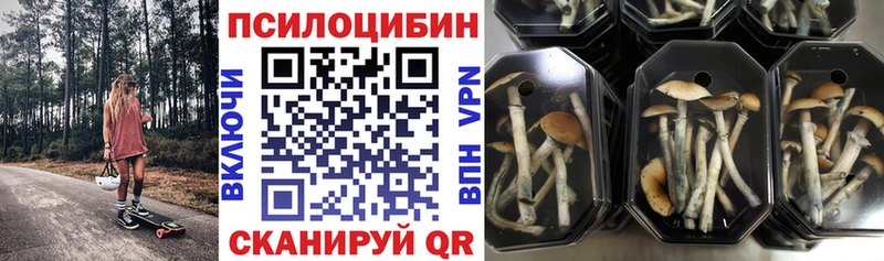 ссылка на мегу tor  купить  цена  Красноармейск  Псилоцибиновые грибы Cubensis 