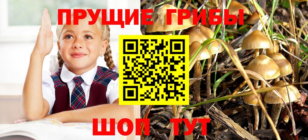 Псилоцибиновые грибы прущие грибы Красноармейск