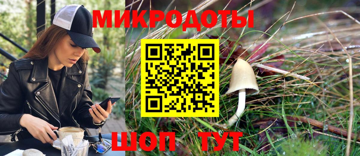 Красноармейск  Галлюциногенные грибы Psilocybe  Вход с VPN 